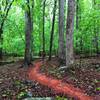 There's a lot of red clay to be found on the Buckeye Loop.