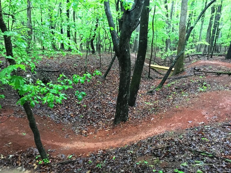 Smooth singletrack and rolling terrain makes for some great flowy riding.