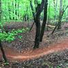 Smooth singletrack and rolling terrain makes for some great flowy riding.