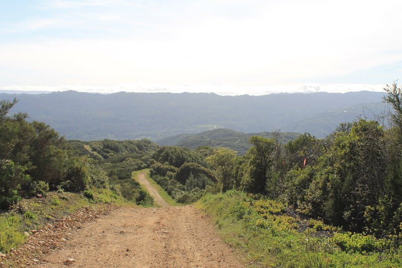 Looking back on the way up the Priest Rock Trail.