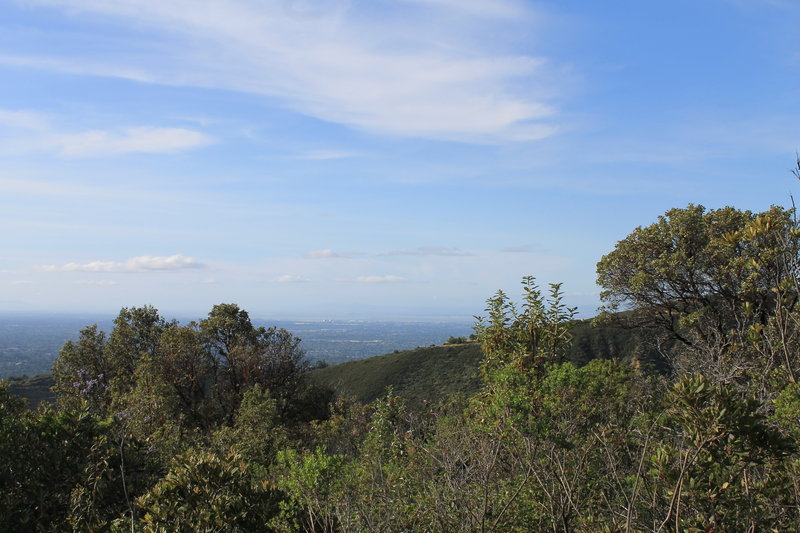 There's a pretty expansive view from near the top of the Priest Rock Trail.