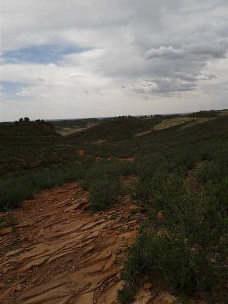 A sampling of the technical conditions on the Blue Sky Trail.