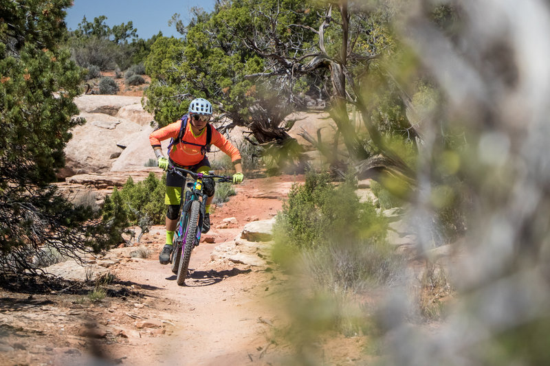 A sweet combo of slickrock and singletrack on Bull Run!