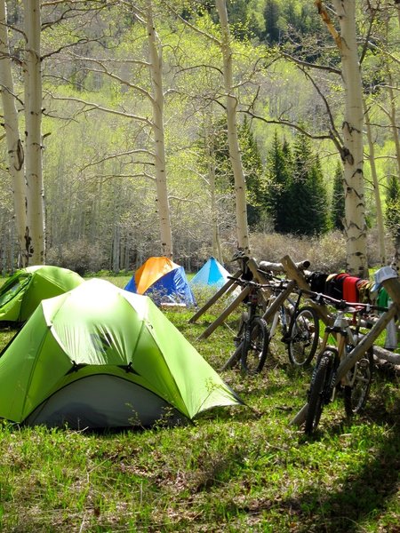 Where Moab locals ride in the summertime - the Manti La Sal National Forest. #itsallyours