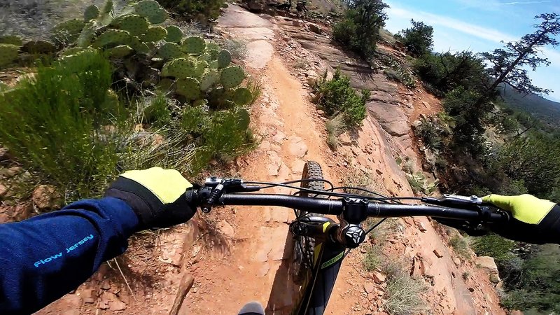 A sweet section on the Mescal trail where you'll have to focus ahead and not at the views. Very fun trail!