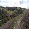 Looking up into Stone Creek Valley from the Eagle Vail Trail.