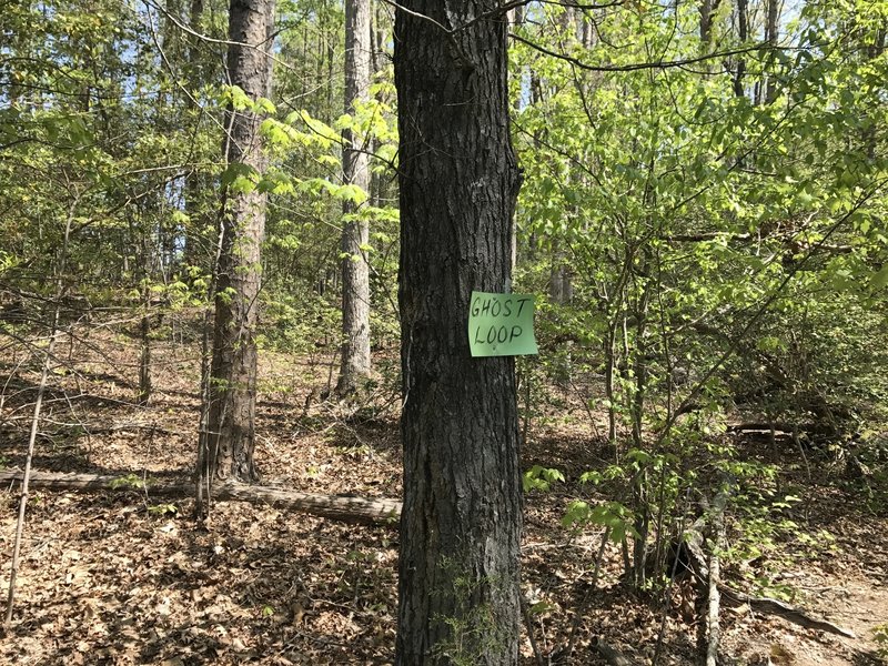 Sign indicates the start of Ghost Loop, though it is really just a portion of Challenge Loop.