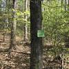 Sign indicates the start of Ghost Loop, though it is really just a portion of Challenge Loop.