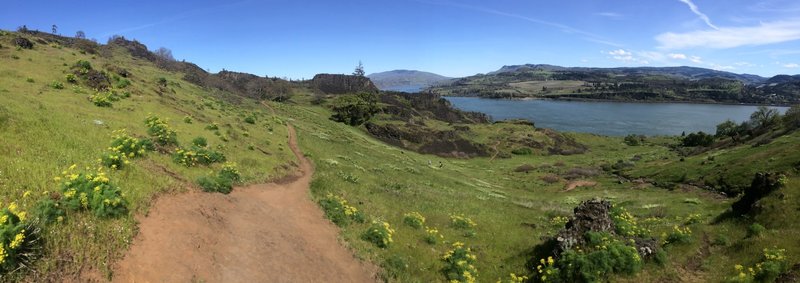 Looking south over the Columbia River from the Little Maui Trail.