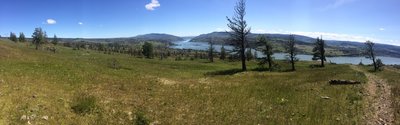 Gorgeous views of the Columbia River climbing up Rowland Wall Trail.