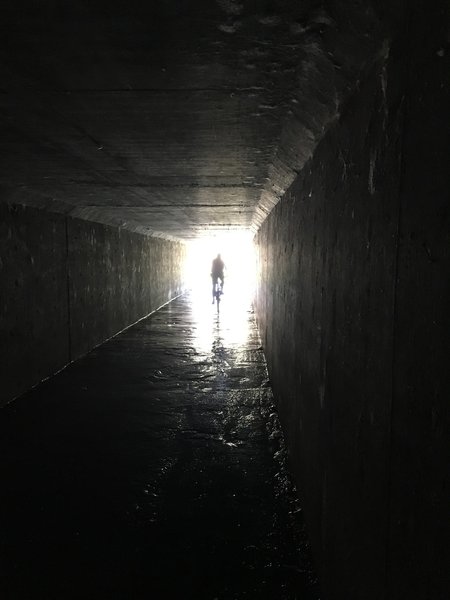 The tunnel to Sundog Ranch Trail.