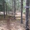 Looking west from Subversion to the trailhead for Conversion which is obscured by vegetation in summer.