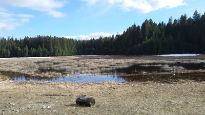 A nearby field that floods in springtime.