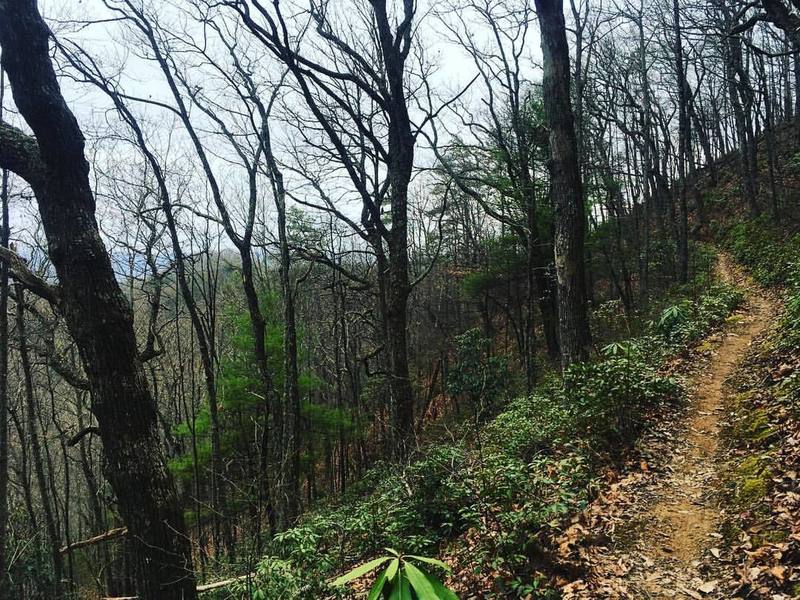 The connector trail to the top of Paint Mountain.