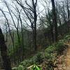 The connector trail to the top of Paint Mountain.