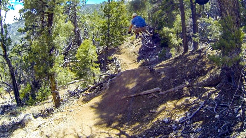 First jump on the trail, just before the ladder drops.