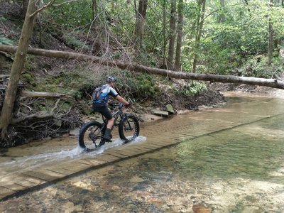 Pedaling up the middle of the creek on the Sheltowee Trace NRT: Section 30.