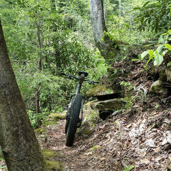 Small rock outcroppings like this one are common along the trail.