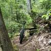 Small rock outcroppings like this one are common along the trail.