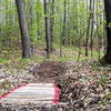 A little bridge on the Salamandra Trail.