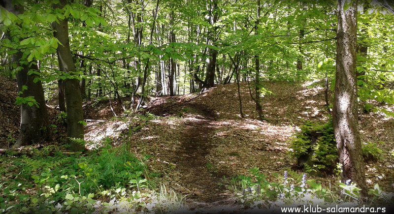 Smooth and narrow singletrack makes the Salamandra Trail a treat.