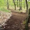 A newly cleared section of the Salamandra Trail reveals so primo dirt.