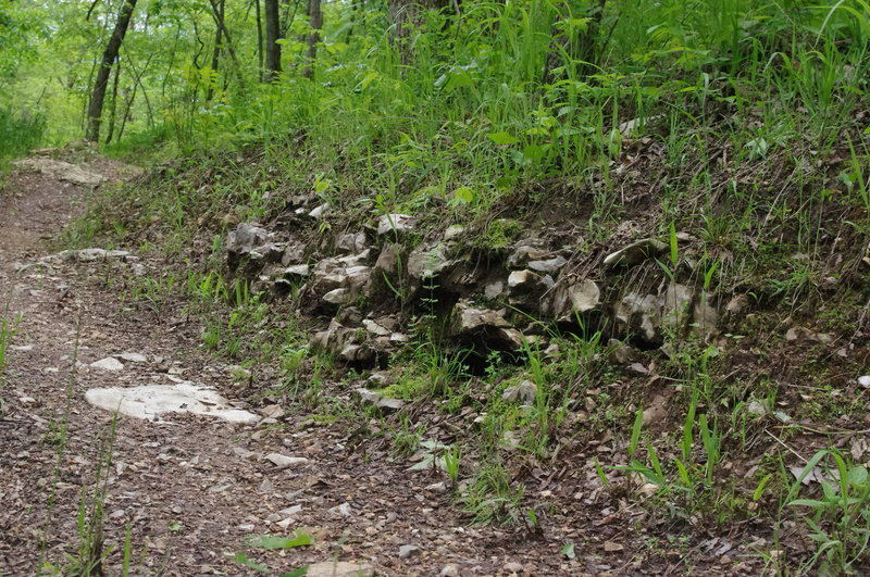 A section of limestone outcroppings on the side of the trail.