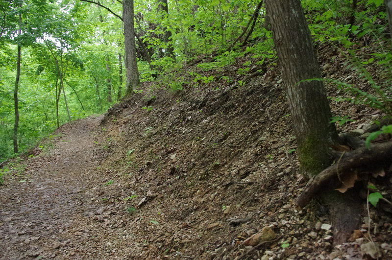 Watch for some soil creeping down off of the back slope along the trail.