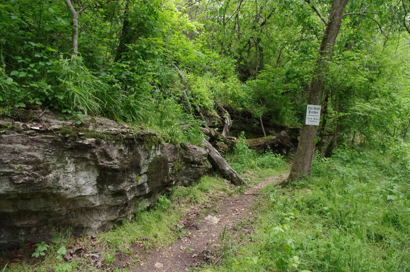 There's lots of big limestone as the trail meets the road.