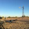 The nearby windmill near a wildlife watering hole.