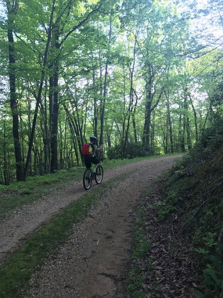 Headed up Jarrett Creek Road.