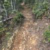 Looking up trail on Star Gap, headed towards the bottom of Heartbreak Ridge