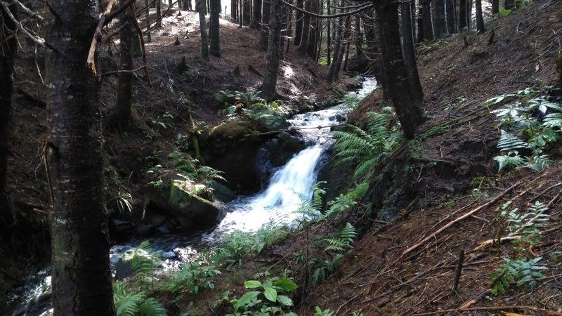 A beautiful waterfall along the very scenic Nga Ridge trail.