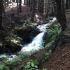 A beautiful waterfall along the very scenic Nga Ridge trail.