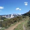 Meandering up the Elkhorn Trail at a nice consistent pace.