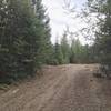 Nifty Swifty Trailhead at the intersection with Poker Run.