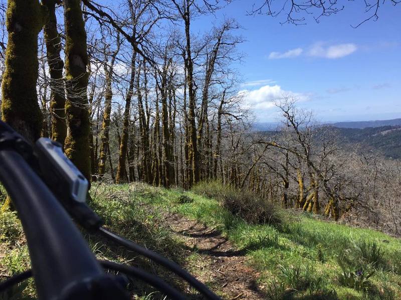 A view down from the Pine Ridge Trail.