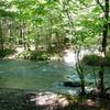 The crossing at No Business Creek from the Longfield Branch trail.