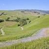 Rolling grass covered hills and clumps of trees make for a beautiful setting to ride.