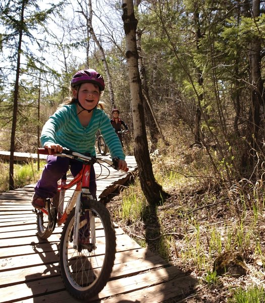 One of the smoother sections of Hawk Ridge Trail.