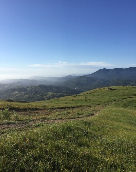 Tam from the Loma Alta Fire Road.