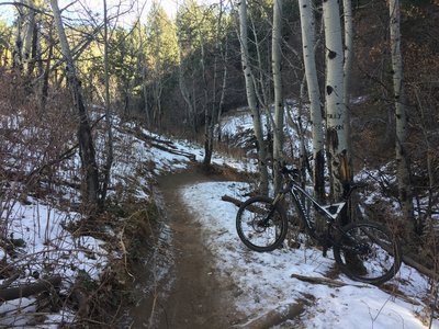 The Enchanted Forest trail in a dusting of snow.