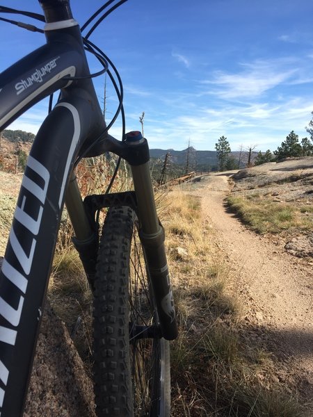 A narrow desert-like singletrack found on the Homestead Trail.