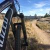 A narrow desert-like singletrack found on the Homestead Trail.