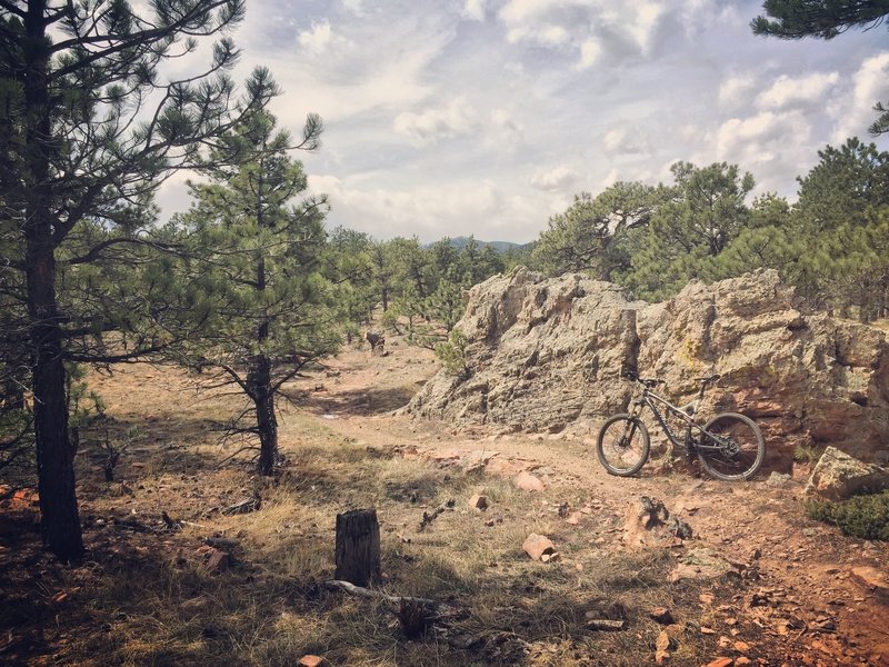 The Ponderosa Loop has plenty of interesting rock formations.