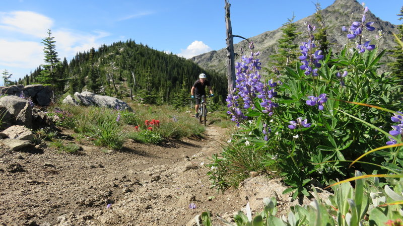 Sunny days and some color around the trail on the Seven Summits Trail.