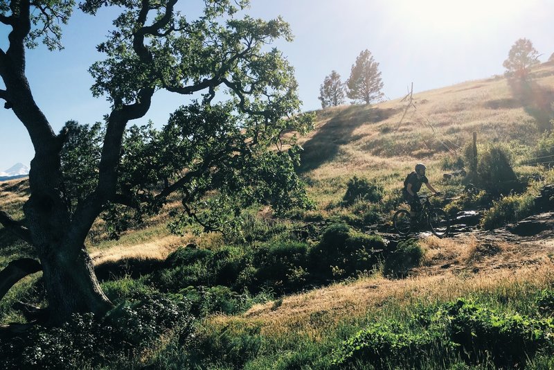 Springtime brings creek crossings on the Little Maui Trail.