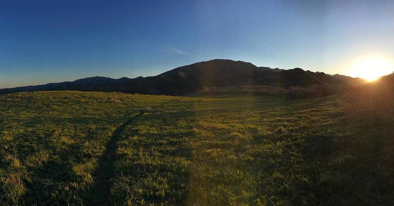 The singletrack continues along the ridgeline to the east.  How far you can make it is up to you!