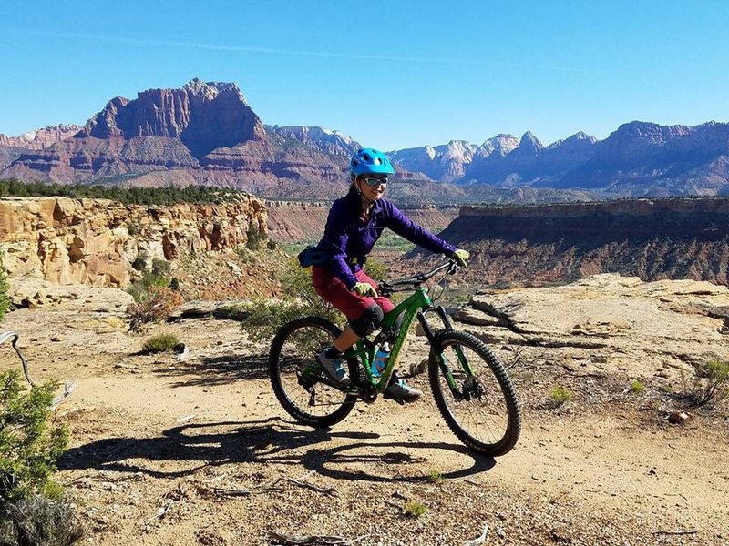 Zion National Park juts out of the ground in the background.