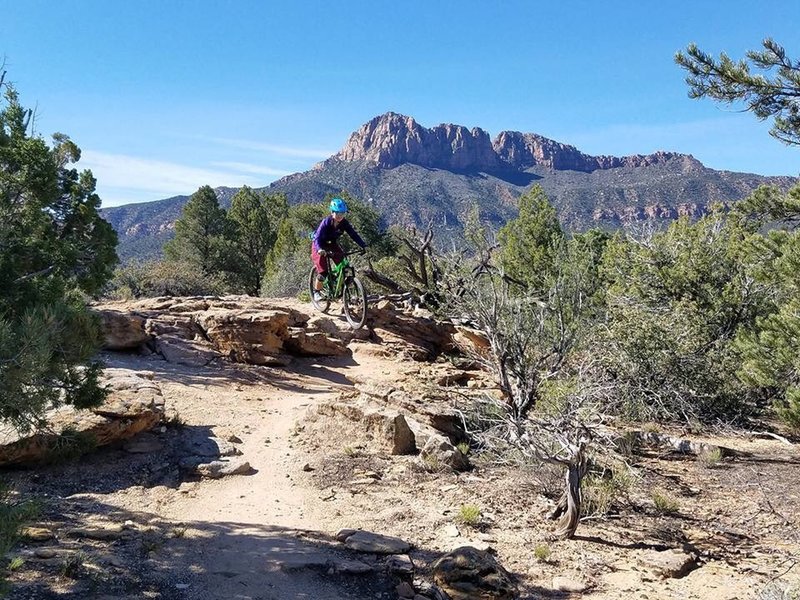 The Wire Mesa Loop offers some not too technical stuff that's plenty of fun to play on.